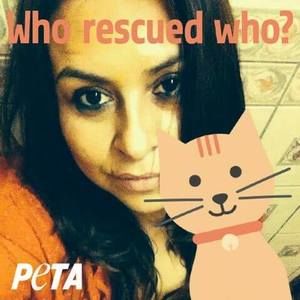 Meet your Posher, Alex